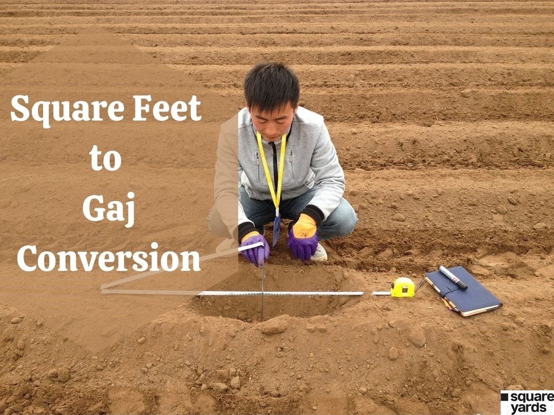 Convert Feet To Gaj Best Gambit