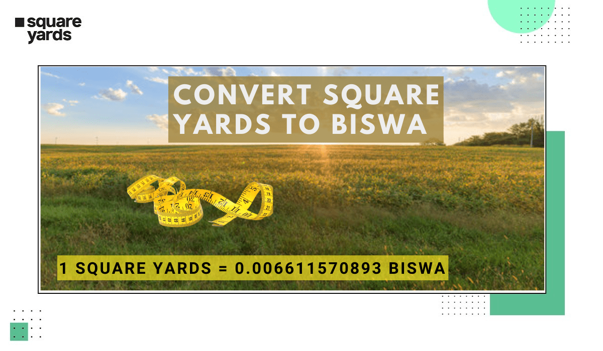 Square Yards to Biswa