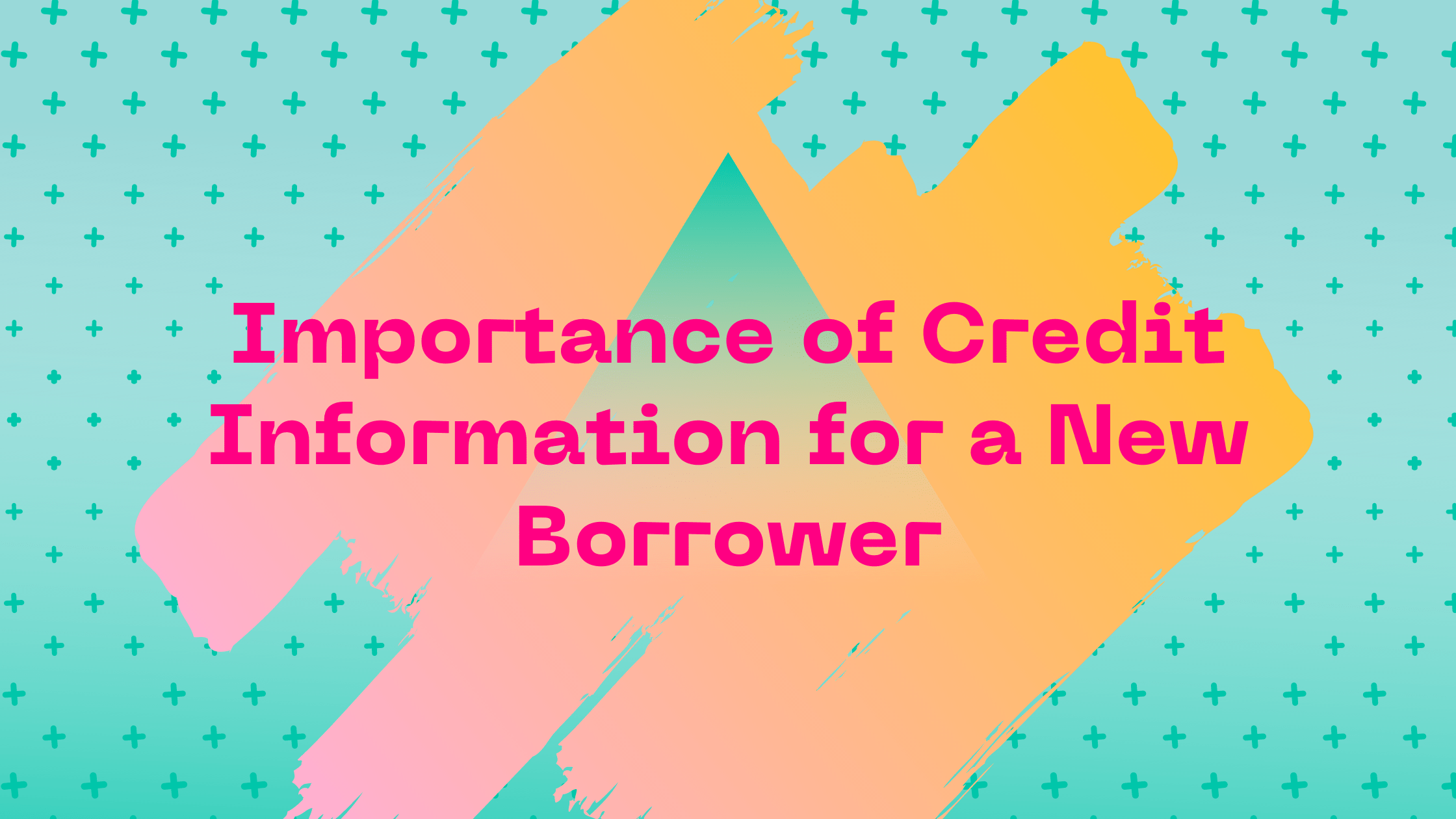 Credit Information for a New Borrower