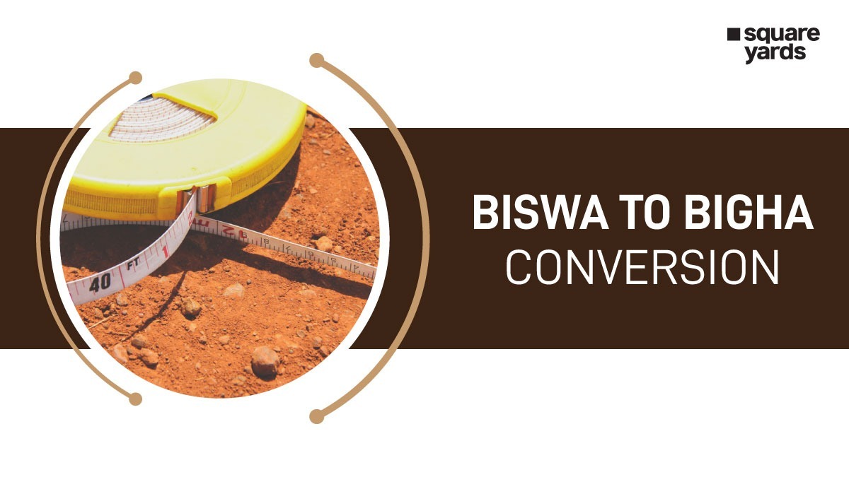 Biswa to Bigha Conversion