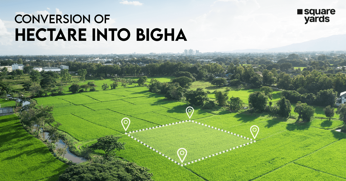 Conversion of Hectare Into Bigha