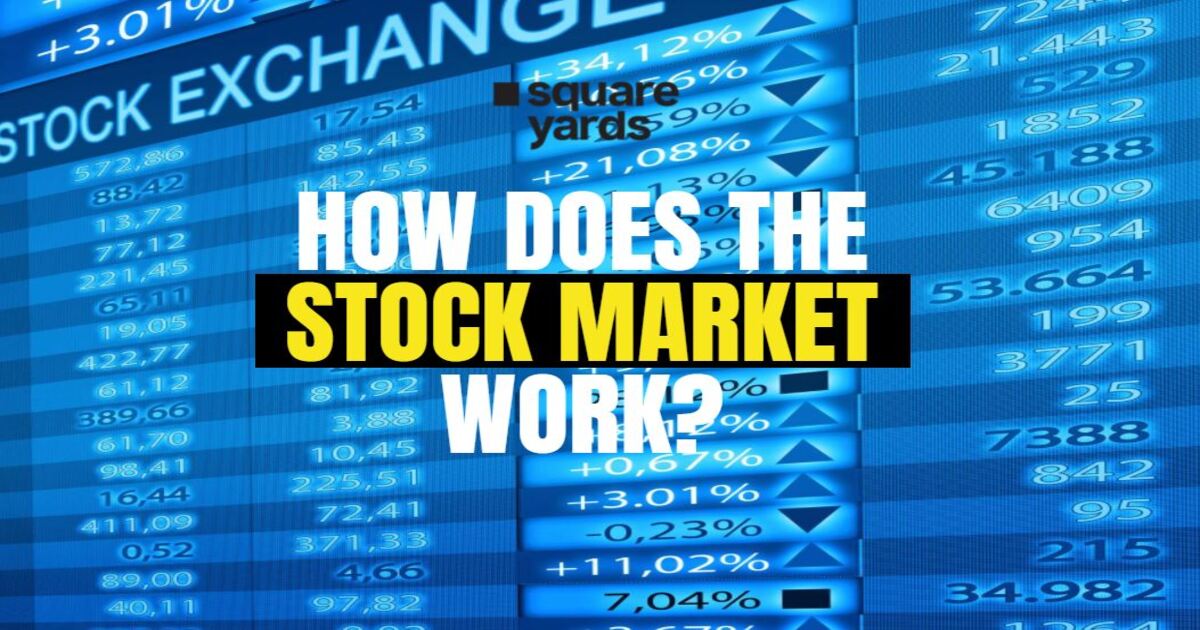 How The Stock Market Works