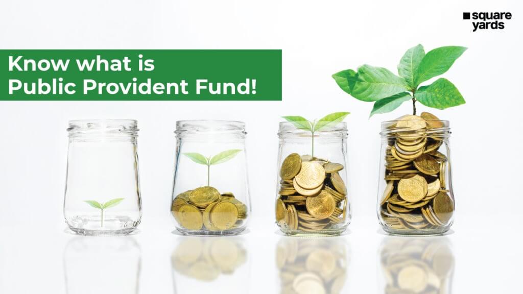 PPF, Public Provident Fund - Account Details, Forms And Eligibility 2022