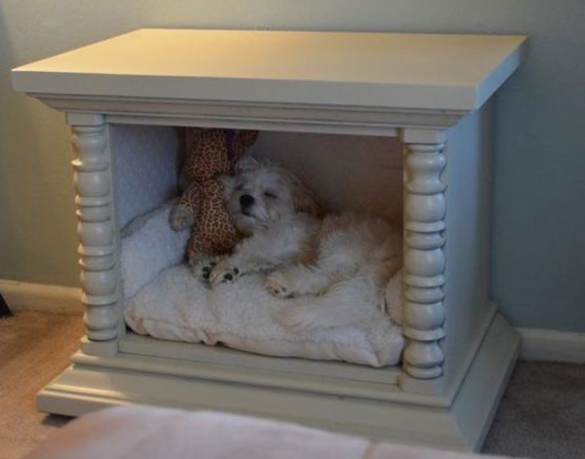 DIY Pet-Friendly Spaces