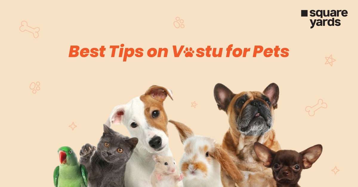 Vastu for Pets